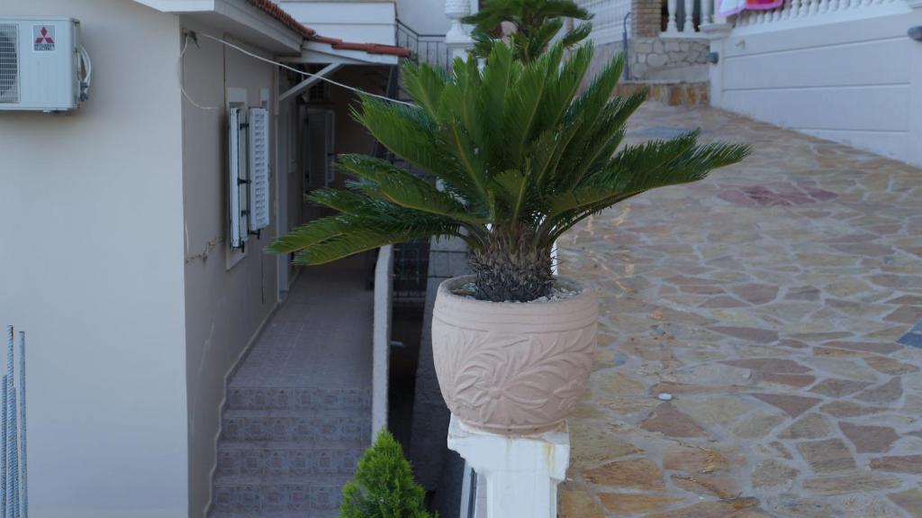 Corali Aparthotel *